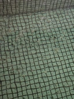 Review photo 4