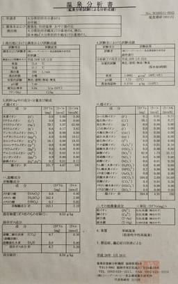 Review photo 10