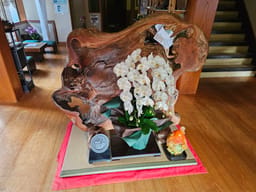 Review photo 4