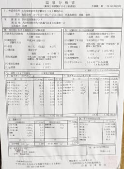Review photo 10