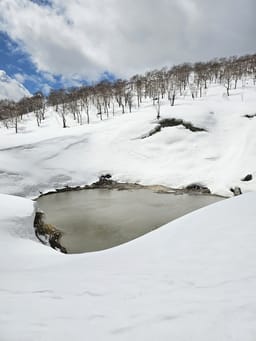 Review photo 1