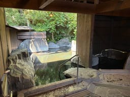 Review photo 2